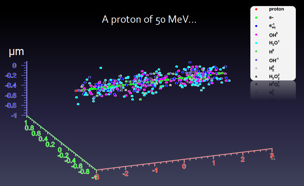 Распространения электронов и свободных радикалов в результате прохождения 50 МэВ протона в воде.png