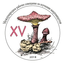 logo_macromicety logo_macromicety.jpg