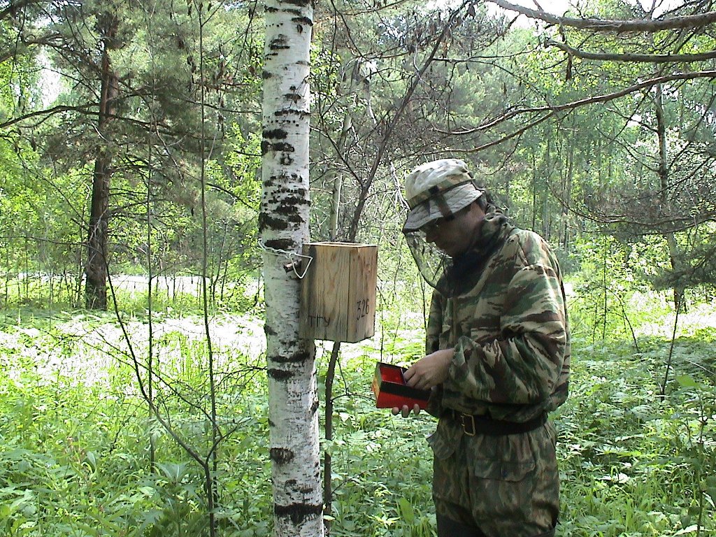 Новогодние опасности для птиц: на связи биолог-орнитолог