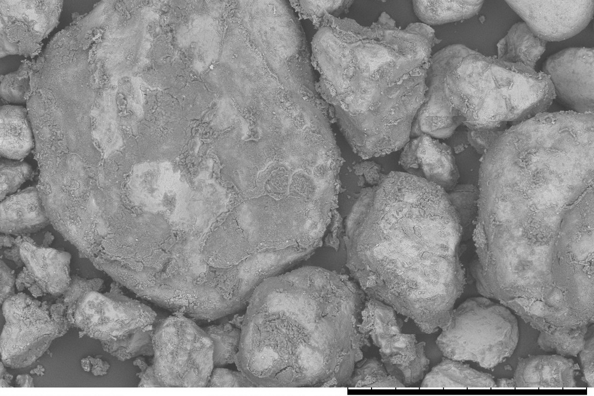 Плёнки из гидроксидов железа, алюминия и углерода на образцах почв. Фото учёных ТГУ.jpg