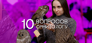 Проект «10 вопросов»: чем занимается современный орнитолог