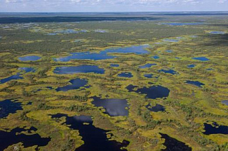 ТГУ откроет научно-исследовательскую станцию на Васюганском болоте